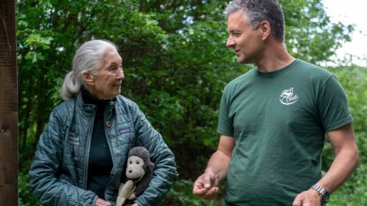 When renowned anthropologist Louis Leakey met #JaneGoodall, he saw something that others had missed: a keen observational mind, unclouded by scientific dogma. He chose an untrained young woman, to begin a revolutionary study of wild chimpanzees. #meetings bit.ly/4oeu8WP