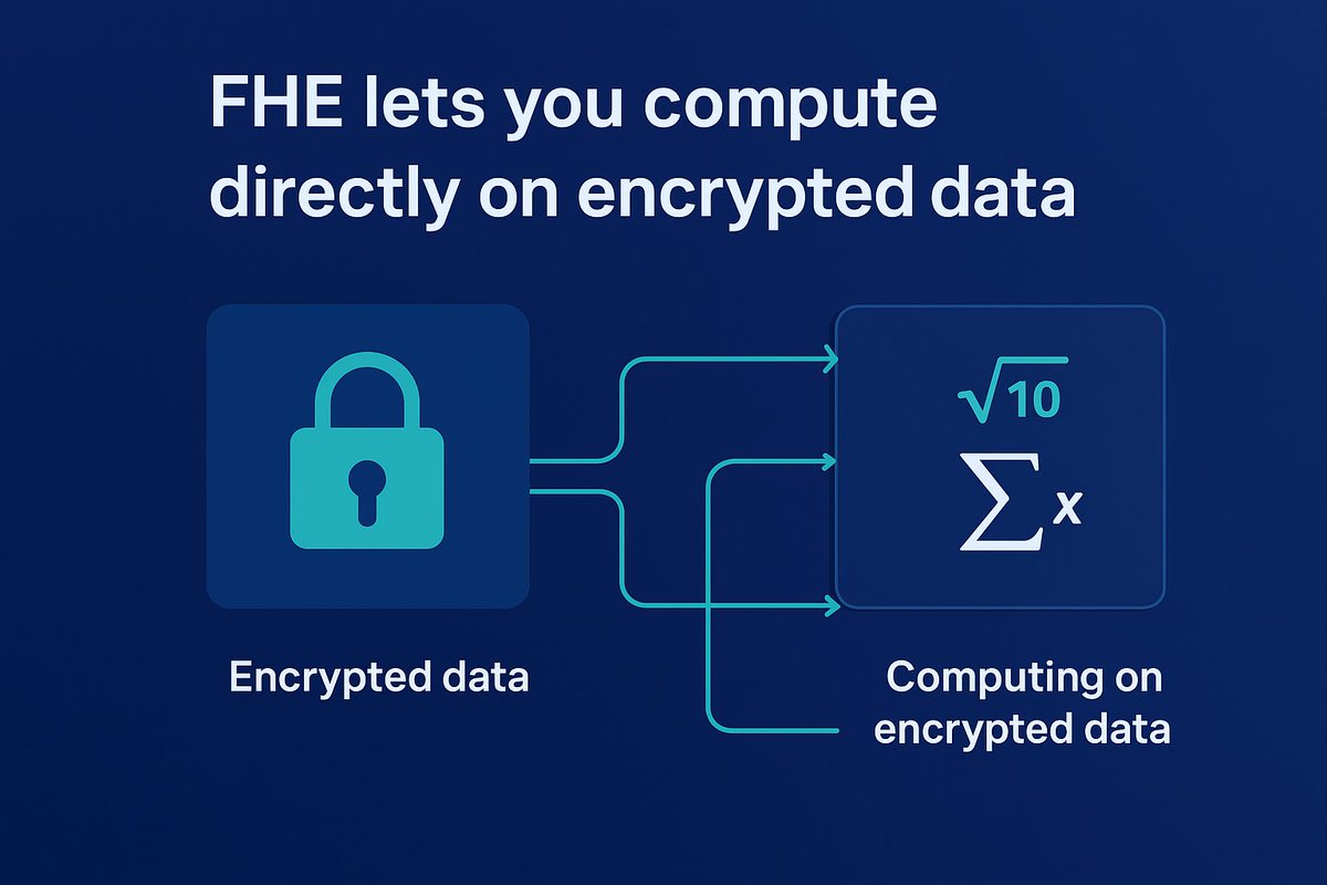 Joe Free Mint Maxi tweet media