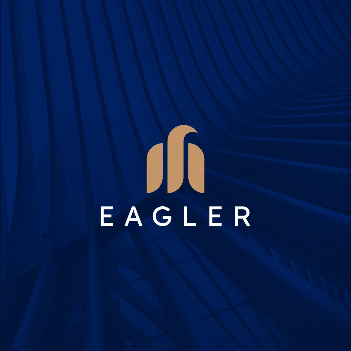clarylifeglobal's tweet image. Watch out for Eagler. The mark isn&apos;t shouting, but the identity is resounding with an obvious and compelling story. Truly, it&apos;s &quot;excellence you can trust, and a legacy you can own.&quot;

#logofolio #logodesigns #brandidentities #visualidentitydesign #logoinspiration #logomark