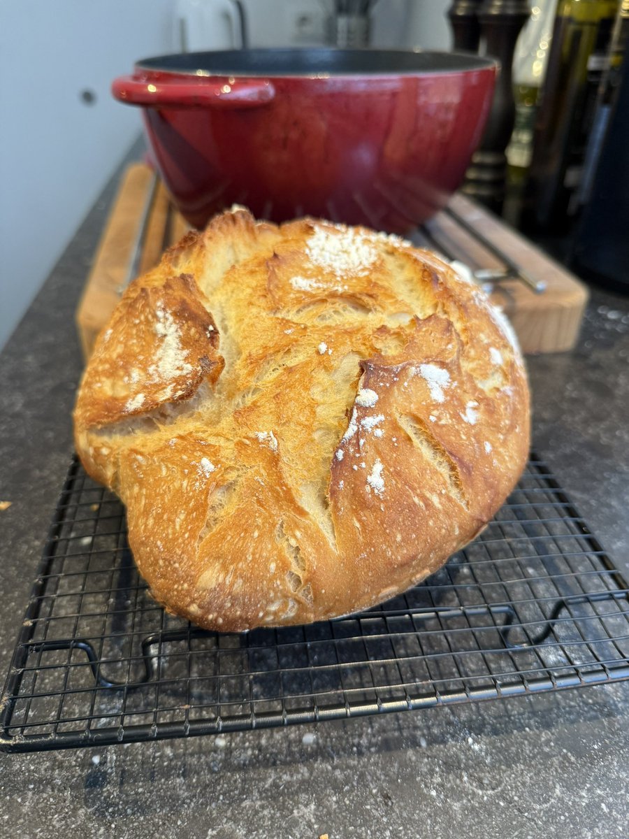 avgreplyguy tweet media