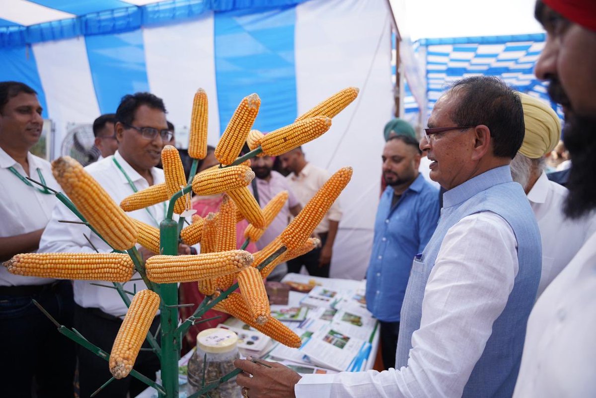 ChouhanShivraj's tweet image. पंजाब की धरती मक्के दी रोटी ते सरसों दे साग का स्वाद देती है। अब ये पुण्यभूमि आधुनिक कृषि विज्ञान से समृद्धि का नया स्वाद भी चखेगी। इसी भाव से आज लुधियाना स्थित ICAR - भारतीय मक्का अनुसंधान संस्थान के नवनिर्मित प्रशासनिक भवन का लोकार्पण किया।

इस दौरान मक्का हितधारकों से आत्मीय