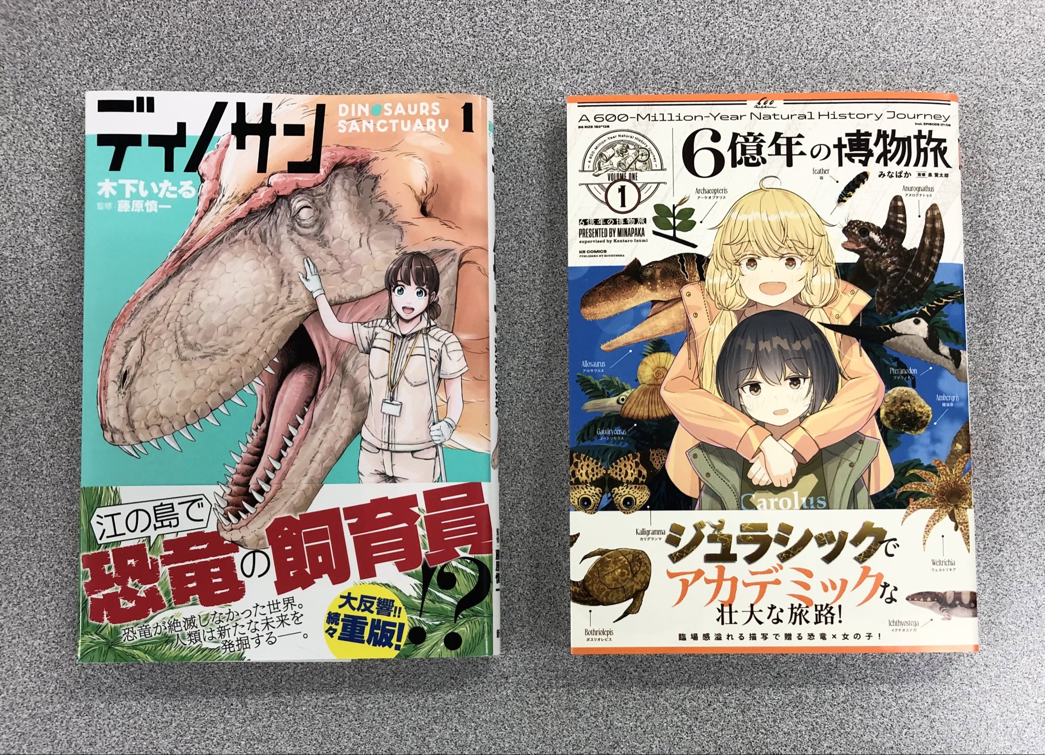 【中古本】社会生物学 41WAERNzOUL._AC_SY200_QL15_.jpg