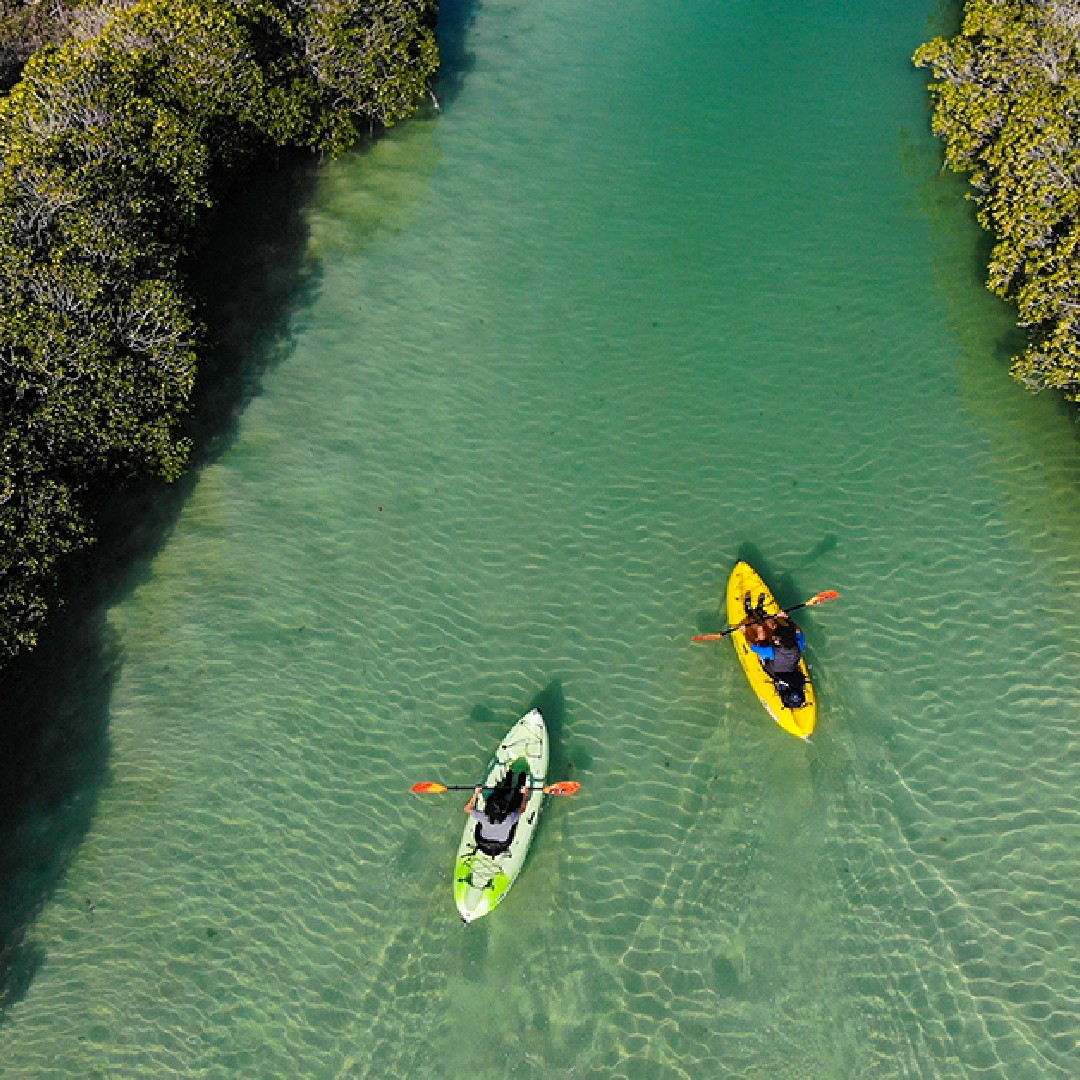 Caxton Manor tweet media