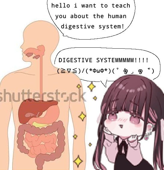 🧁𝄞 tweet media