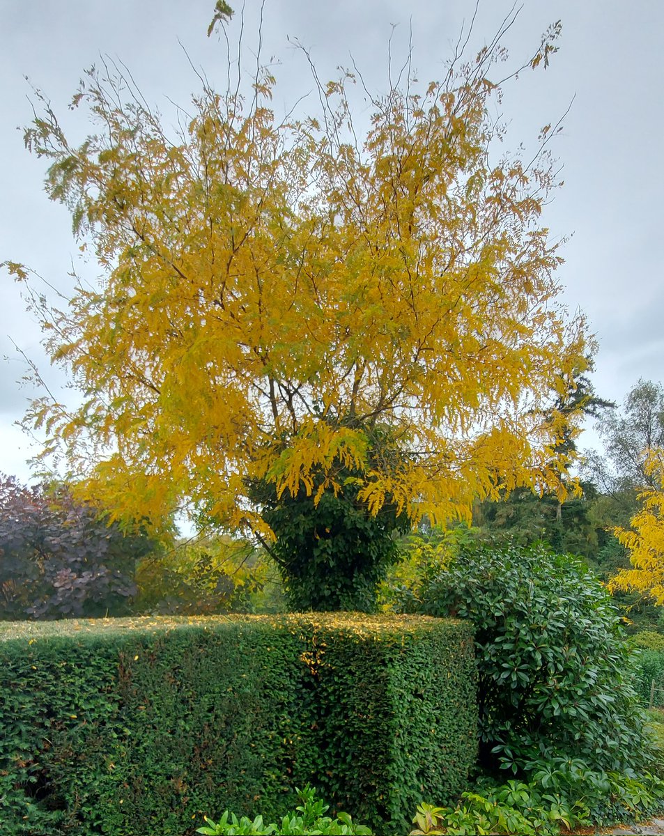 Beautiful colours