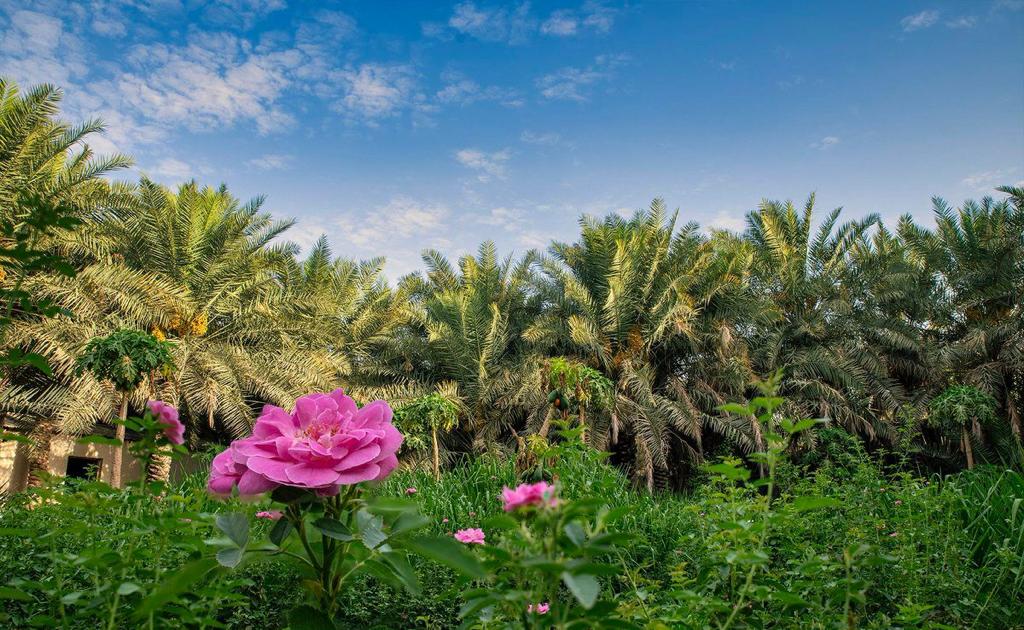 Caxton Manor tweet media