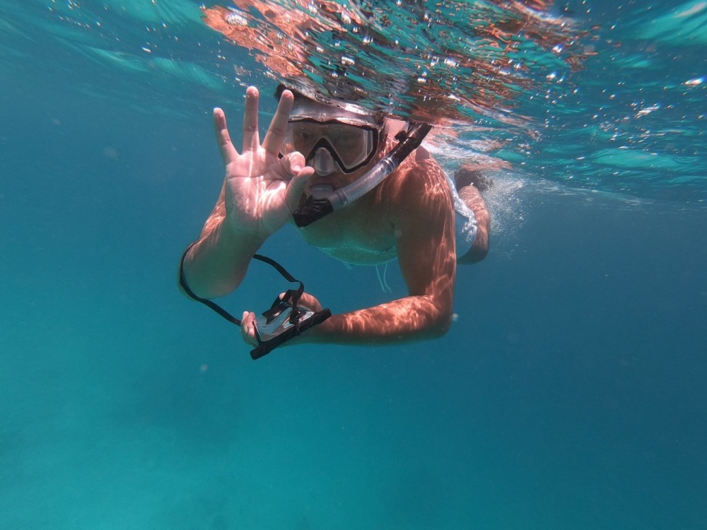 Caxton Manor tweet media