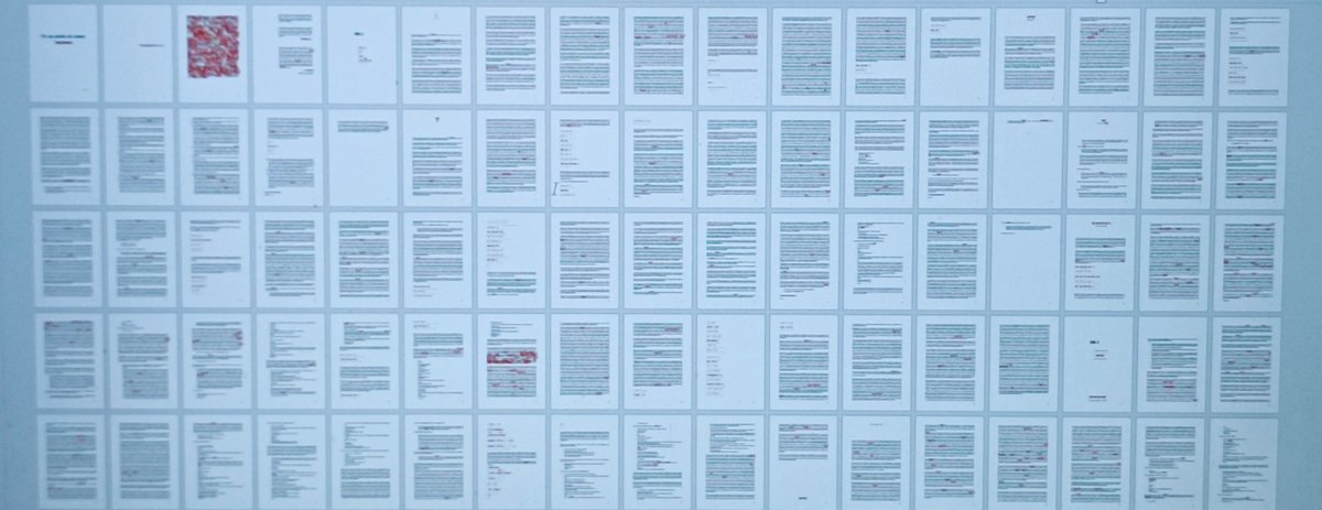 Maiol de Gràcia (@maiol2) on Twitter photo 