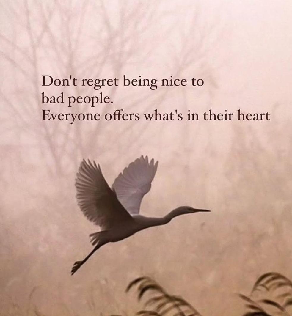 Mandy Snelson (@mandysnel) on Twitter photo 