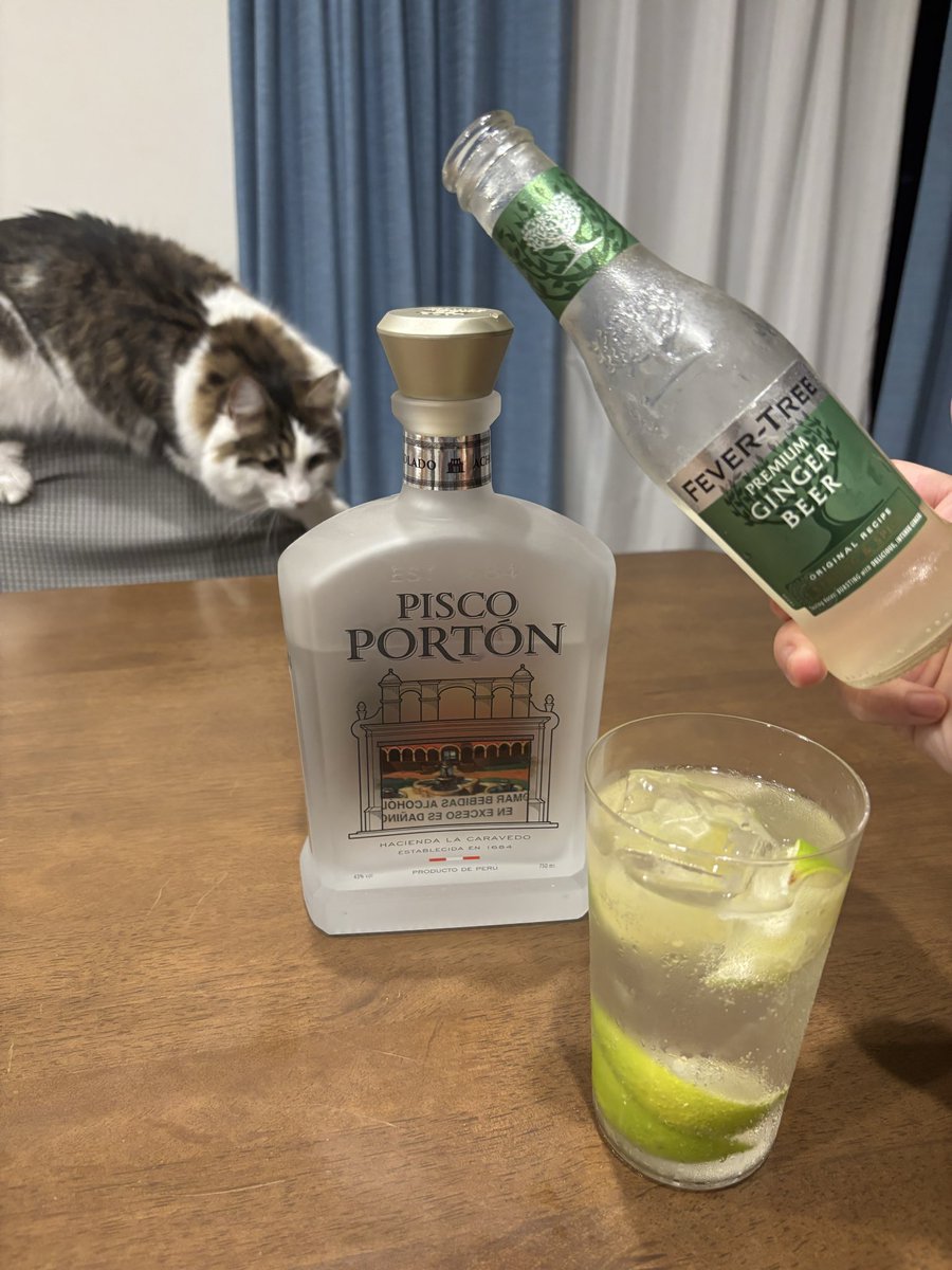 CatsTail_DOL's tweet image. そしてもう1品昨夜の話題になったやつ🌃
🇵🇪ペルーのブランデー
 #ピスコポルトン アチョラード❣️
この一瓶に🍇を約8.6kg使用してる☺️
公式情報？

割り材は #FEVERTREE 
プレミアムジンジャービア

続･感謝の🥂𓂃乾ෆ⃛杯𓂃🥂
