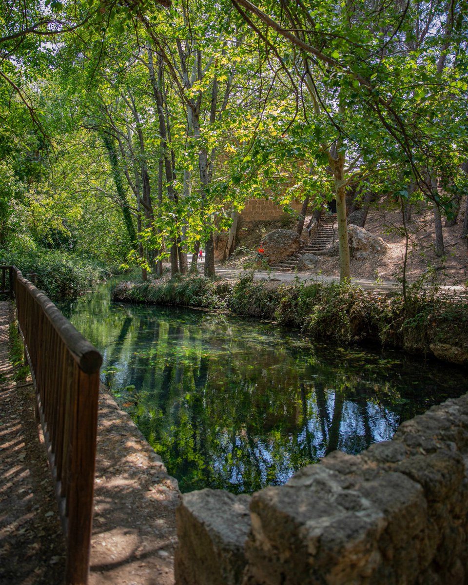 Si buscas desconectar, respirar aire puro y conectar con lo esencial, 📍 las Fuentes del Marqués te esperan en Caravaca de la Cruz.

Un paraje con manantiales, historia y naturaleza, perfecto para pasear, relajarte y disfrutar en familia. 🌳 Un lugar que no puedes perderte. ✨