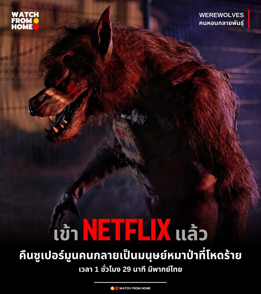 🐰 ꕀ Netflix premium 4K ꔛ 🎬🍿

🪼𓍯 7 วัน 29 ฿ รีทวิตเหลือ 25 ฿
 𓆞 30 วัน 59฿ รีทวิตเหลือ 50฿ ⋆｡˚
📺  ทีวี ทุกอุปกรณ์ 30 day 169 ฿

✿ܸ🧦จอหาร ดูแลตลอดการใช้งาน
☆  ความชัดระดับ4K เคลมทุกกรณี 👕

#หารnetflix #netflixราคาถูก #netflixหาร 
#หารnetflixราคาถูก #เน็ตฟลิกซ์ราคา