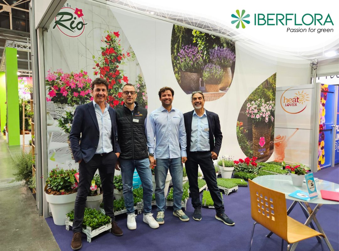 Syngenta Flowers tweet media