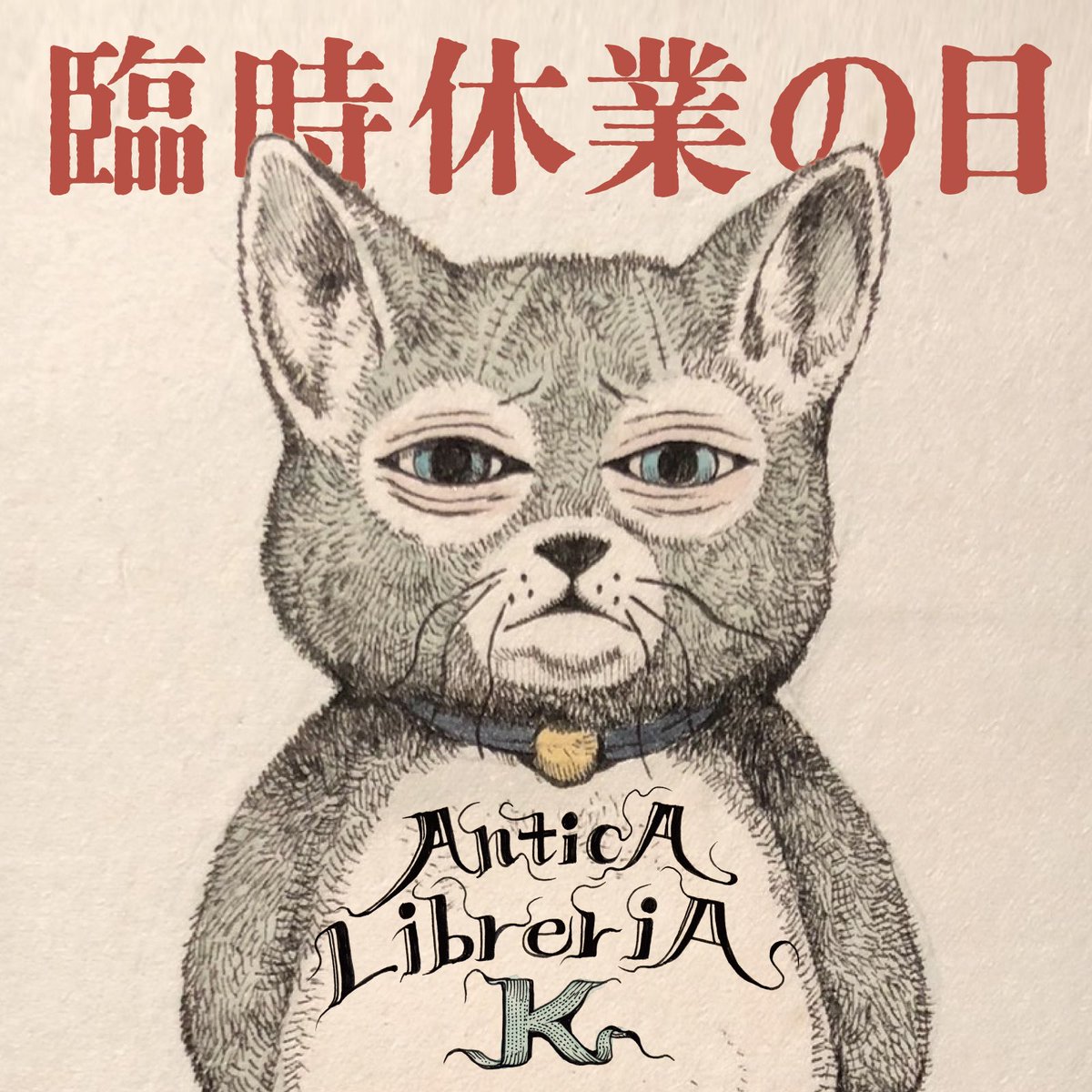 AnticA LibreriA K (@AnticALibreriAK) / Posts / X