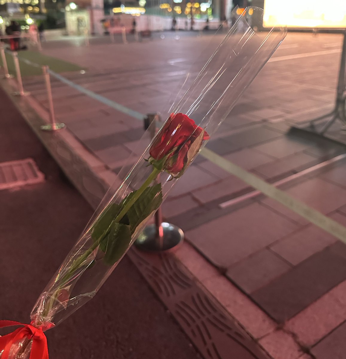 친구 오빠들 오늘 코엑스에서 장미꽃 줌..
오빠들 우리도..꽃 줘..