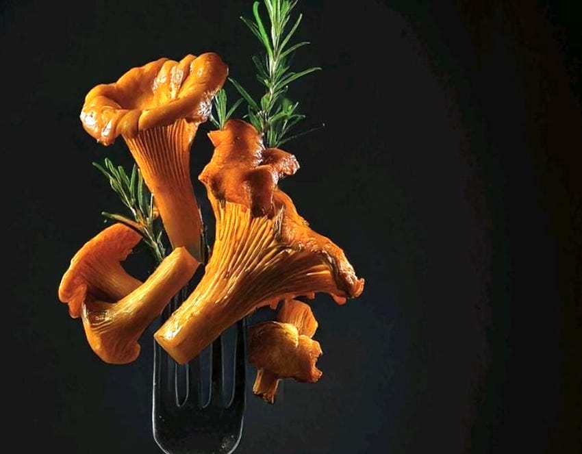 Congreso internacional Soria Gastronómica: vivir el monte, proteger las setas, crear sabor diariodegastronomia.com/congreso-inter…