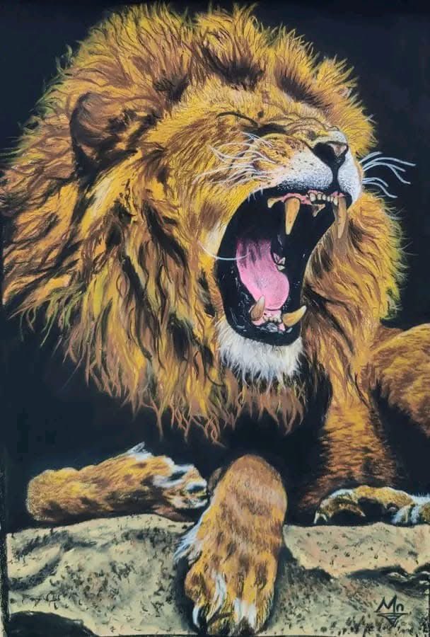 But one of the twenty-four elders said to me, “Stop weeping! Look, the Lion of the tribe of Judah, the heir to David’s throne, has won the victory. He is worthy to open the scroll and its seven seals.

May Christ restore peace to your heart. Amen 🙏❤️