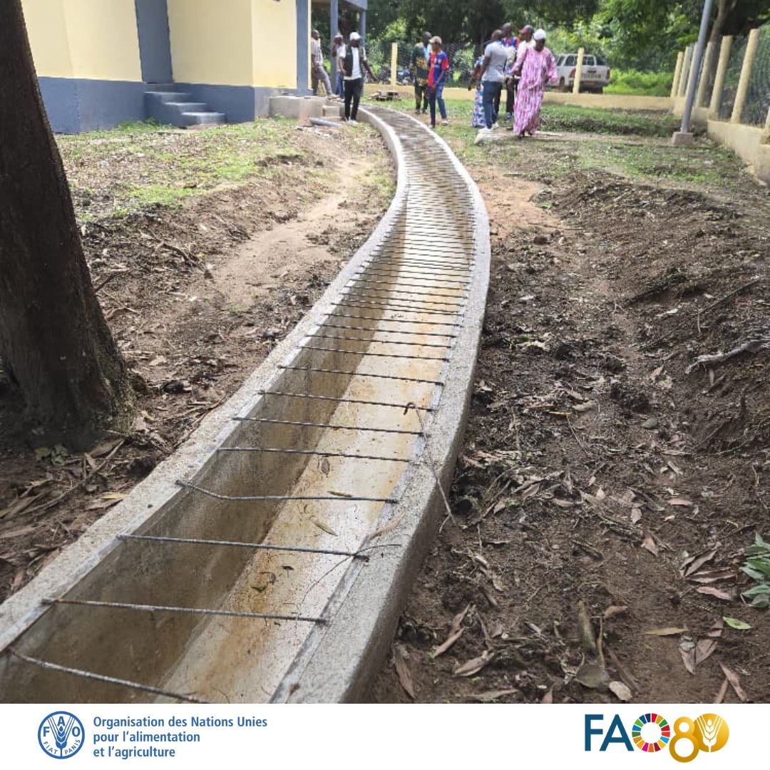 FAOGuinee's tweet photo. Pour la sécurité sanitaire des aliments d'origine animale, #FAOGN a rénové les boucheries-abattoirs de Kamsar, Mamou &amp; Faranah.
Les infrastructures ont été provisoirement réceptionnés par les bénéficiaires en attendant la remise officielle. 
#OneHealth
#Four_betters https://t.co/F9tubAY0HM