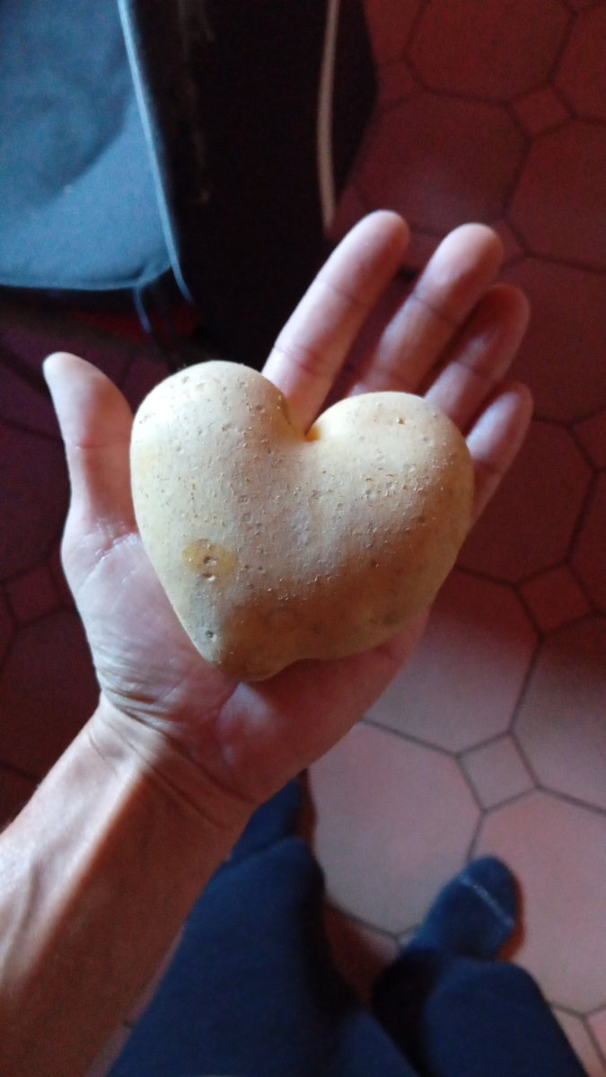 M5CRYPTO ⨀🟣 (@axlmaya333) on Twitter photo Gm
Monad has the best community 💜
After work airdrop monad
<a href="/monad/">Monad (mainnet arc)</a> miannet 2025 ♥️☀️💕🫶 Gm
Monad has the best community 💜
After work airdrop monad
<a href="/monad/">Monad (mainnet arc)</a> miannet 2025 ♥️☀️💕🫶