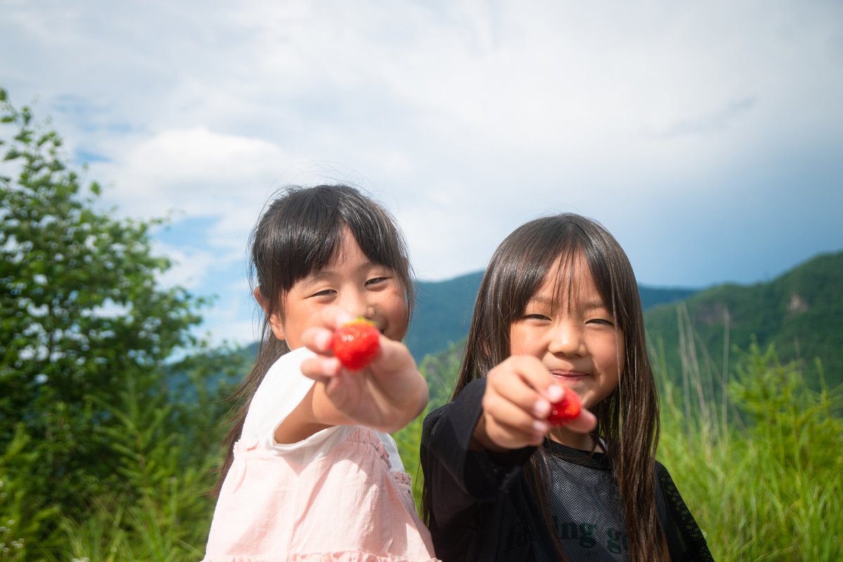 『子どもが喜ぶ夏いちご』
小さなお子さまが
夢中になって食べている姿は
かわいらしいですよね😊

私たち大空夏いちご農園は
6月下旬〜11月下旬ごろまで
イチゴをお届けしています🍓