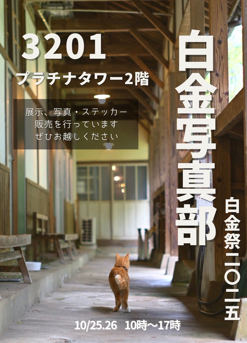 shirokanephoto's tweet photo. 私たち写真部は10/25(土),26(日)に行われる白金祭にて展示会を行います❗️
プラチナタワー3201中講義室でお待ちしてます📸 https://t.co/0bvKtW1H0a
