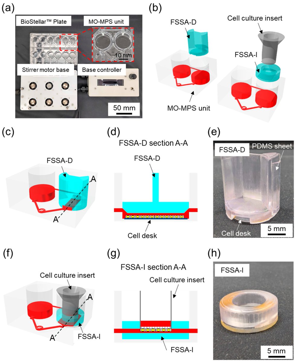 micromach_mdpi's tweet image. 👏 Welcome to read the Editor's Choice Paper: "The Fluidic Shear Stress Loading Method Enables Mechanobiological Stimulation in an On-Chip Pump-Integrated #Microphysiological System"
🏆 Jin Hong Yap et al.
🏫 @Tokai_Univ_
👉 mdpi.com/2072-666X/16/9…
#FeaturePaper #EditorChoice