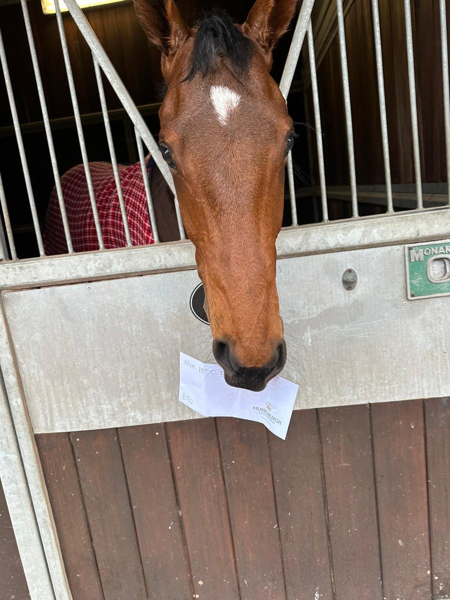 C_LidsterRacing's tweet photo. A Successful Day Up North for Team Lidster at @MusselburghRace 

Triple Force (aka Mr Consistent 2025) does it again! Another brilliant win under @E_Cagney - taking his impressive 2025 record to 3241132221 for proud owners Mr David & Val Barker

Meanwhile, Ubetterseethis ran a stormer to finish 2nd in the Class 3 seller, also picking up Best Turned Out - top work Millie! 

A fantastic effort from the whole team - congratulations to all connections and all the ongoing support 🐎
