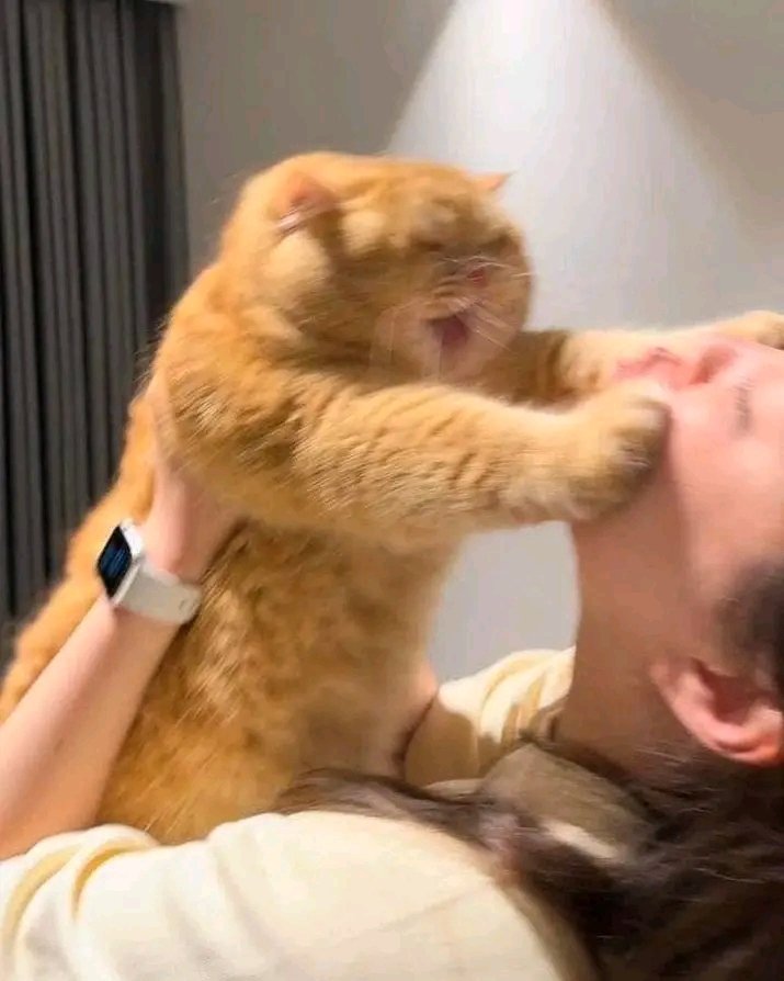 STOP KISSING ME!!!!! 😡