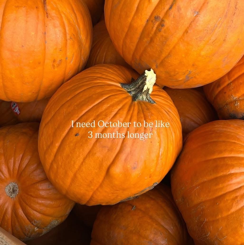 COZYVIBES (@thespookygirll) on Twitter photo 