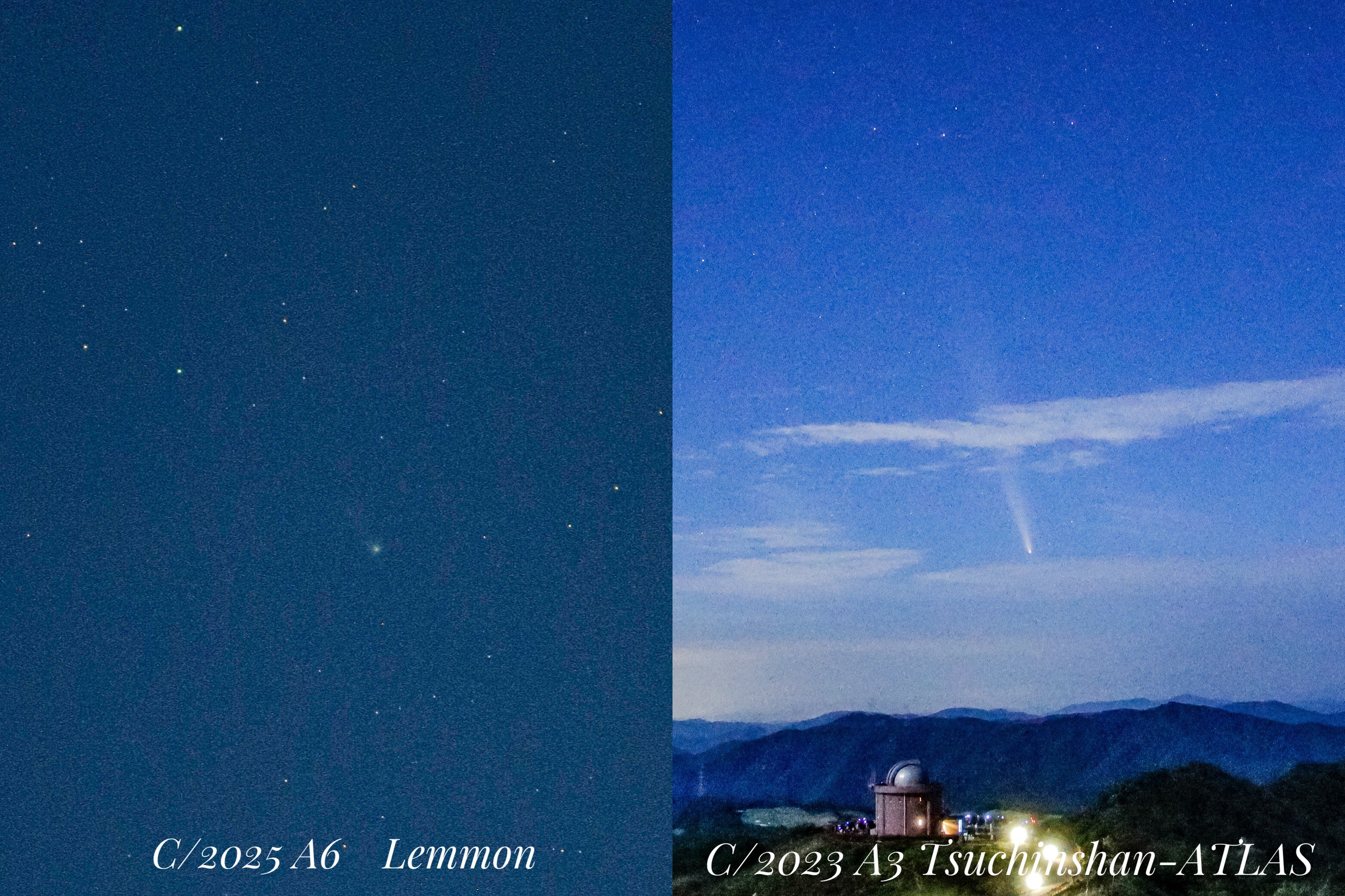 ☆グラチチュード☆　尺三金銀淡墨まっと　鉄仙　コスモス　計2100枚 LUXXE がまかつ/ラグゼ 桜幻 鯛テンヤTG 8号 約30g 19-338 鯛