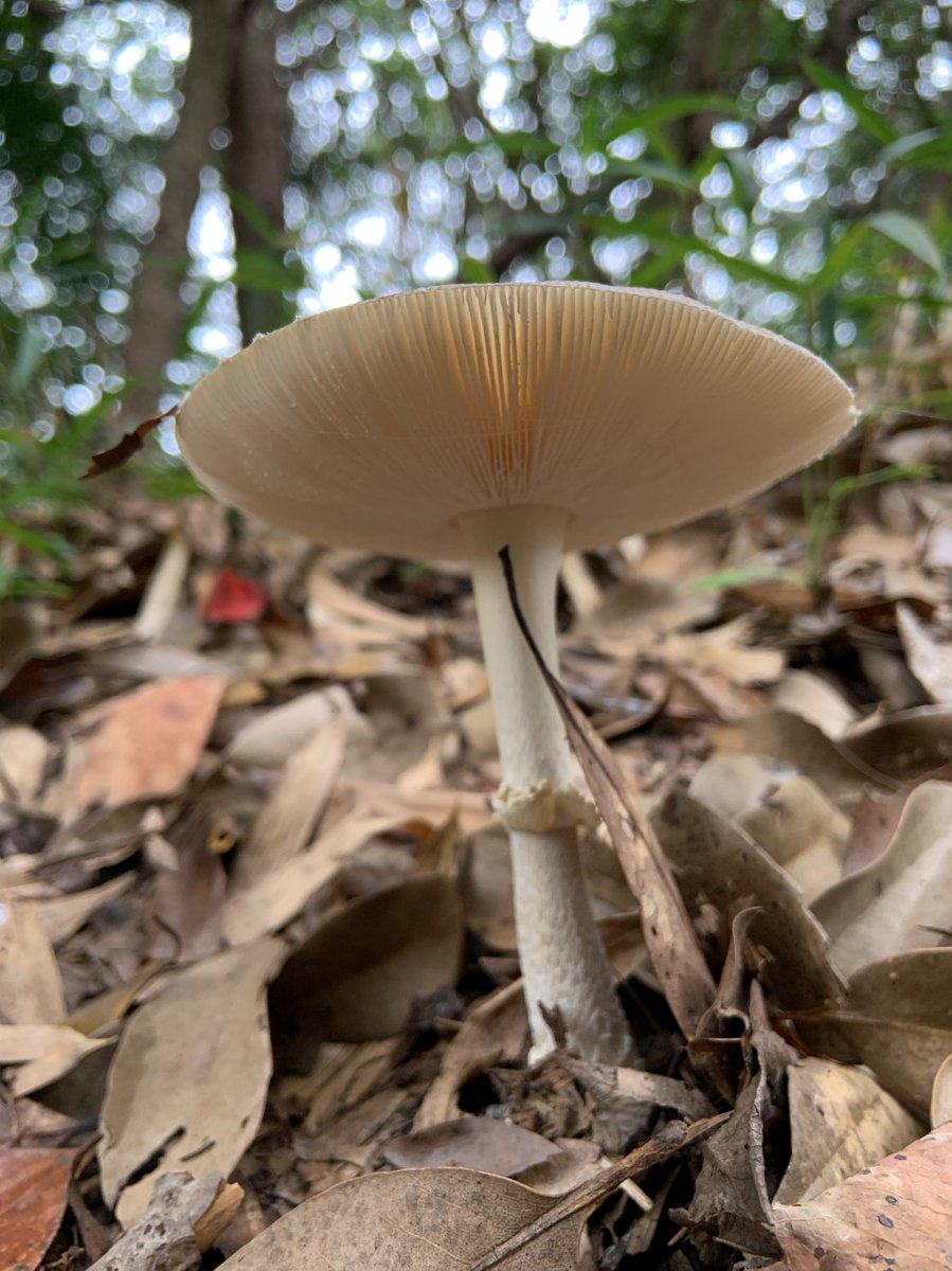 pushupper's tweet image. 初めて行った場所でも、スマホで情報を集めたりしがち。

空の匂いを嗅ぎ、生命の音を聞いて、目の前に広がる景色を眺めてみるのがいいと思う。