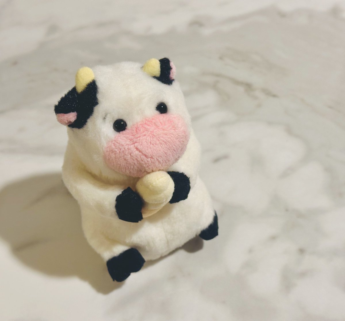 むちまる (@2UjmFK) / Posts / X