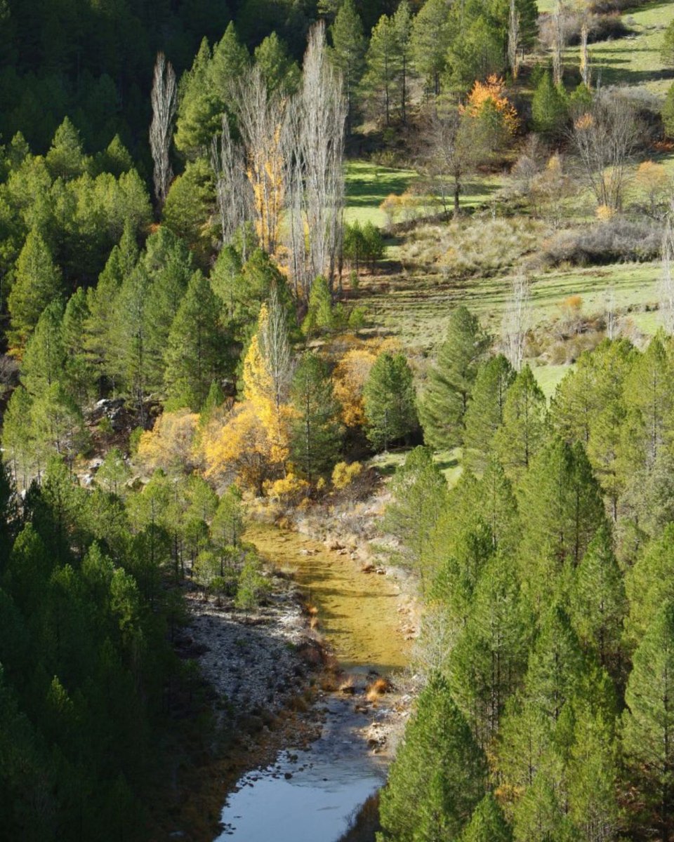 ⛰️ La ruta “Ciclo Circular 3. Pontones–Pontones” es una hebra antigua que vuelve a coser el territorio a través de sus caminos tradicionales.

Pedalearás sobre historia viva: cortijos, molinos harineros y aldeas que aún murmuran la voz de sus gentes. 🔗 es.wikiloc.com/rutas-gravel-b…
