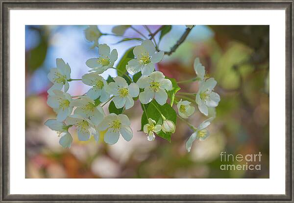 Check out this photogrpah on ros-turner.pixels.com
#artoftheday #flowerphotography #NaturePhotography #HomeStyle