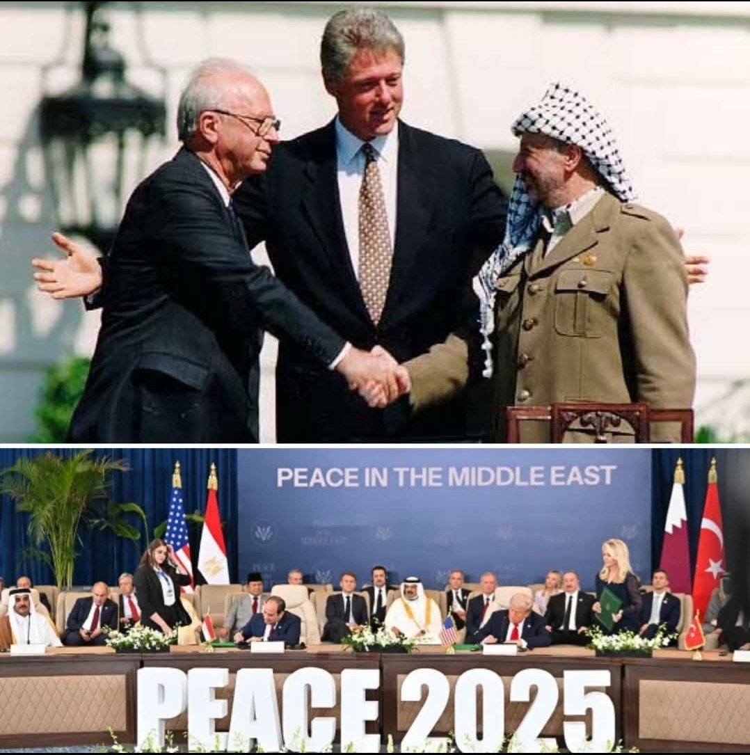 Ola Anan - عُلا عنان tweet media