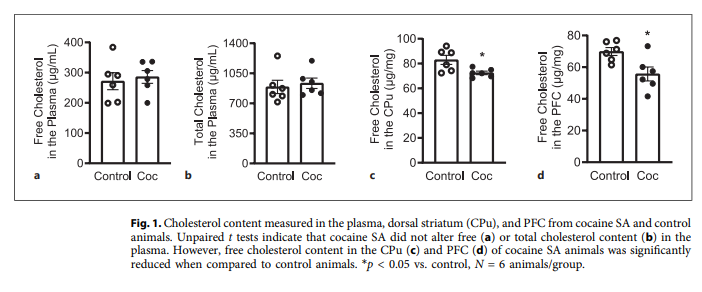 Endocrinology | Karger tweet media