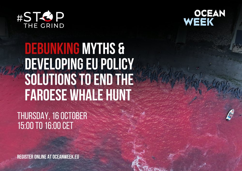 The European Institute for Animal Law & Policy tweet media