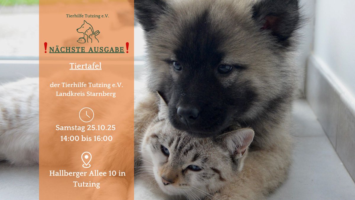 Am 25.10.25 ist es wieder so weit. Die nächste Ausgabe der Tiertafel in Tutzing.