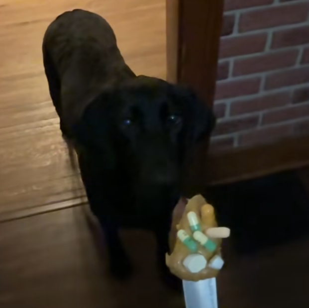 Let me retry it, this is insane, This is Betty, 10m views and 1.2m likes in 1 day for eating PUMPFUN Pill, perfect animal runner to revive the trench.

bnb listed a meme cat on binance alpha Hakimi and pumped to 50M,

let's show which chain is the chain of animal runner guys...