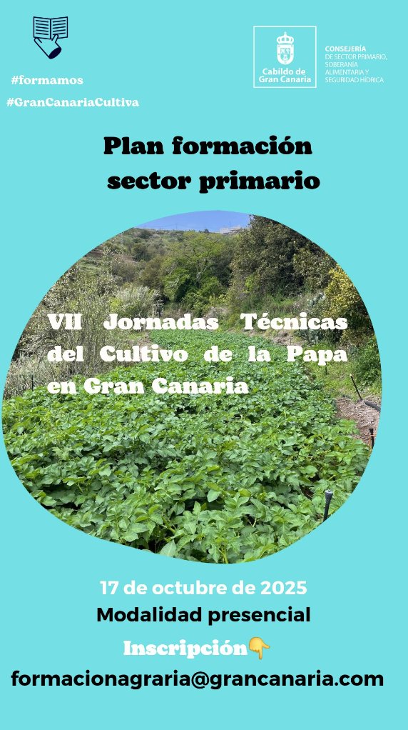 𝙑𝙪𝙚𝙡𝙫𝙚𝙣 𝙡𝙖𝙨 #𝙅𝙤𝙧𝙣𝙖𝙙𝙖𝙨𝙏𝙚́𝙘𝙣𝙞𝙘𝙖𝙨 𝙙𝙚𝙡 𝘾𝙪𝙡𝙩𝙞𝙫𝙤 𝙙𝙚 𝙡𝙖 #𝙋𝙖𝙥𝙖 𝙚𝙣 #𝙂𝙧𝙖𝙣𝘾𝙖𝙣𝙖𝙧𝙞𝙖.
Horario: 09:00-14:00 en Auditorio de Teror  
+info: formacionagraria@grancanaria.com
<a href="/sectprimariogc/">Sector Primario Gran Canaria</a> <a href="/GranCanariaCab/">Cabildo Gran Canaria</a> #cultivo