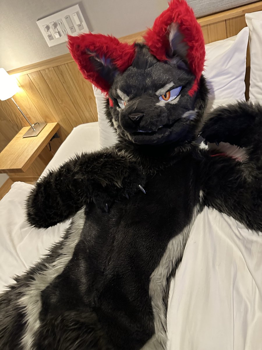 ベッドインおおかみ