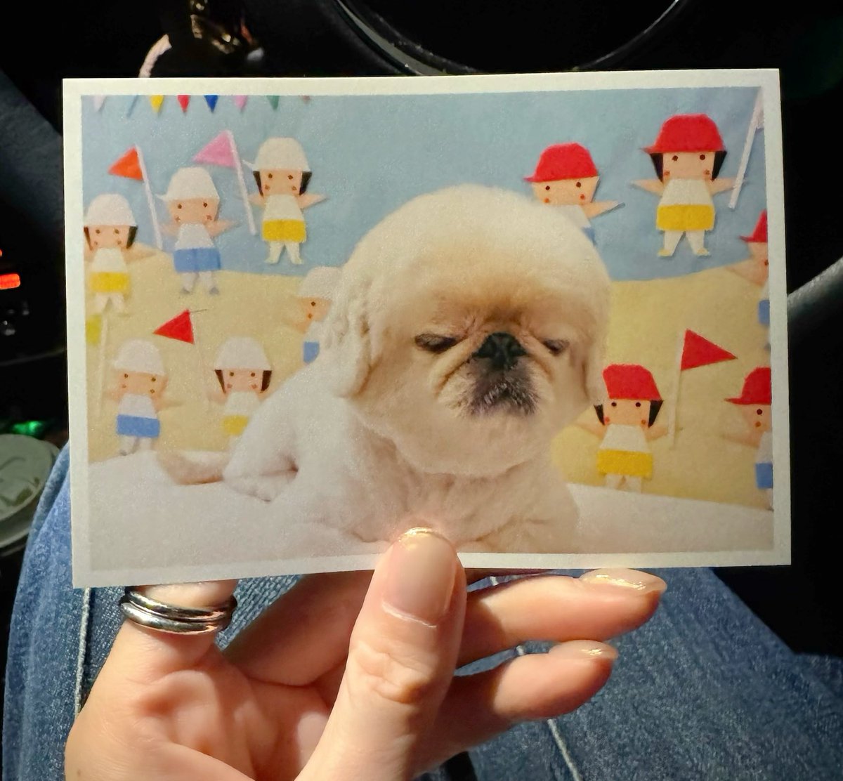 パチリンコ🐶 (@gArCCd0dOCAa6fP) / Posts / X