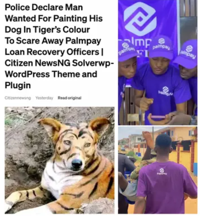 yabaleftonline's tweet image. Just have data in this country 🤣🤣