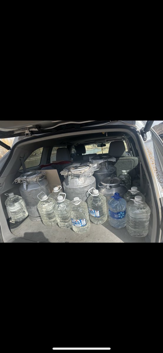 Нөгөө хэн бинзены бизнесссссс хийжийгаа гнээ😜