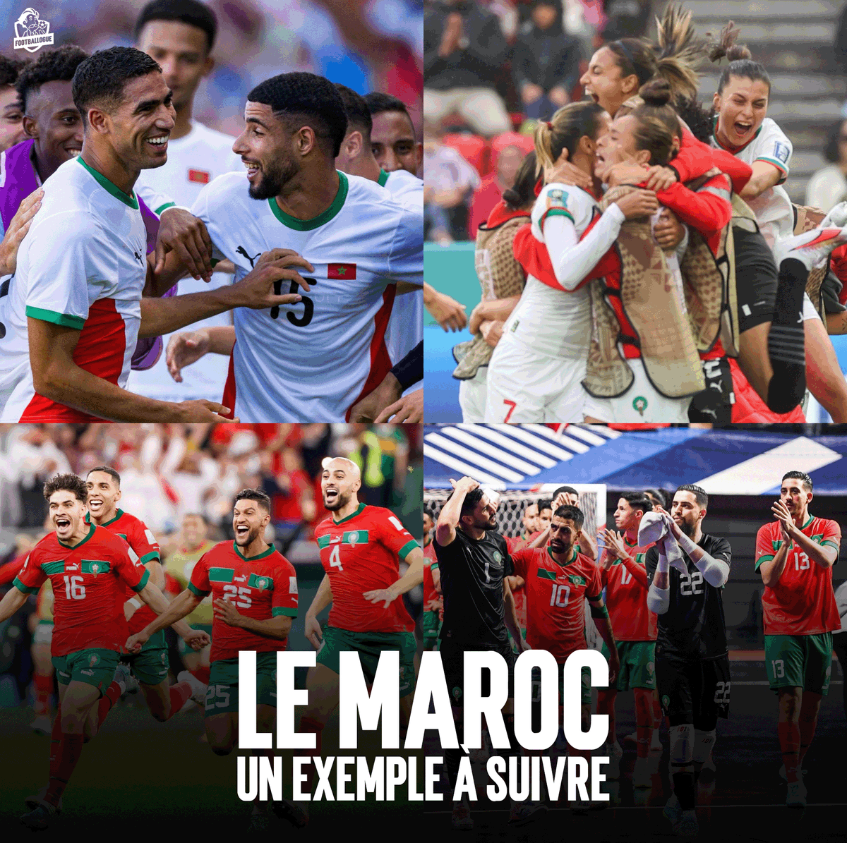 Footballogue tweet media