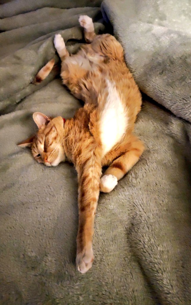 Buen día 🌞😄
Buena vida hoy 🐾😉🎁