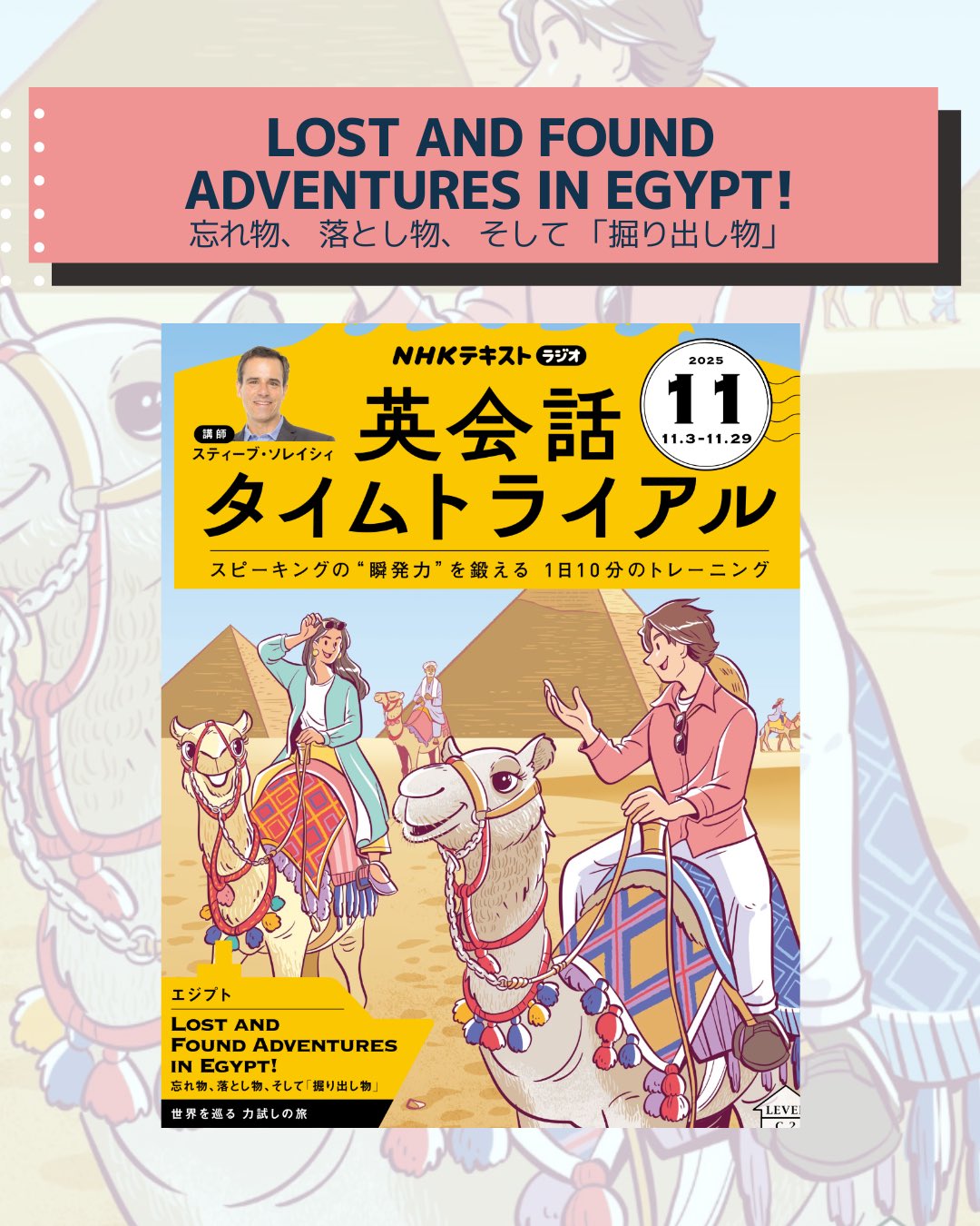 【美品】ユーキャン　スティーブソレイシィのこれだけでいいよ！英会話 美品】ユーキャン スティーブソレイシィのこれだけでいいよ！英会話