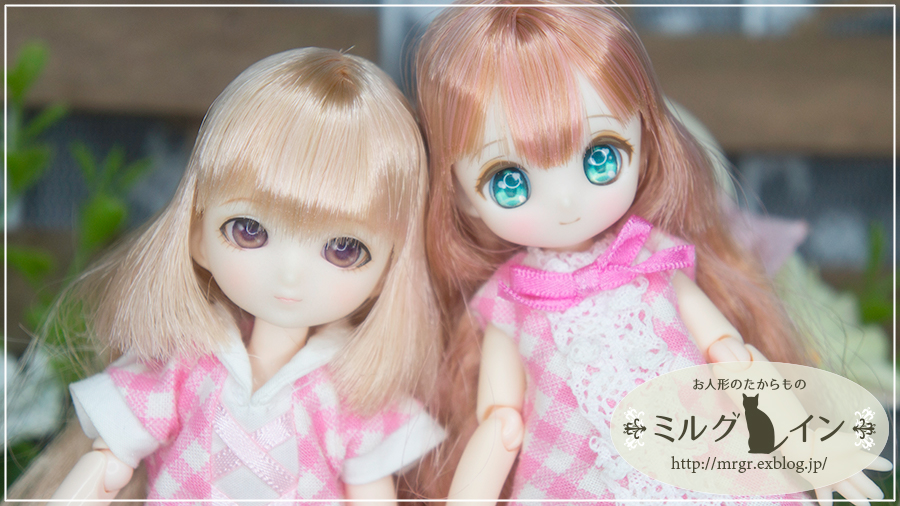 mrgrneko's tweet photo. SugarCups ビスケティーナ～Star Sprinkles～レーベルショップ秋葉原オープン7周年記念モデル (アゾンダイレクトストア限定販売)とTwinkle Sign series no.2 Nina[ニーナ]です。
#アゾカツ #ニナシェリ #TwinkleSign #オビツ11 #人形の日 #人形の日だからうちのこ自慢しようぜ2025 https://t.co/Eal38zIOrd