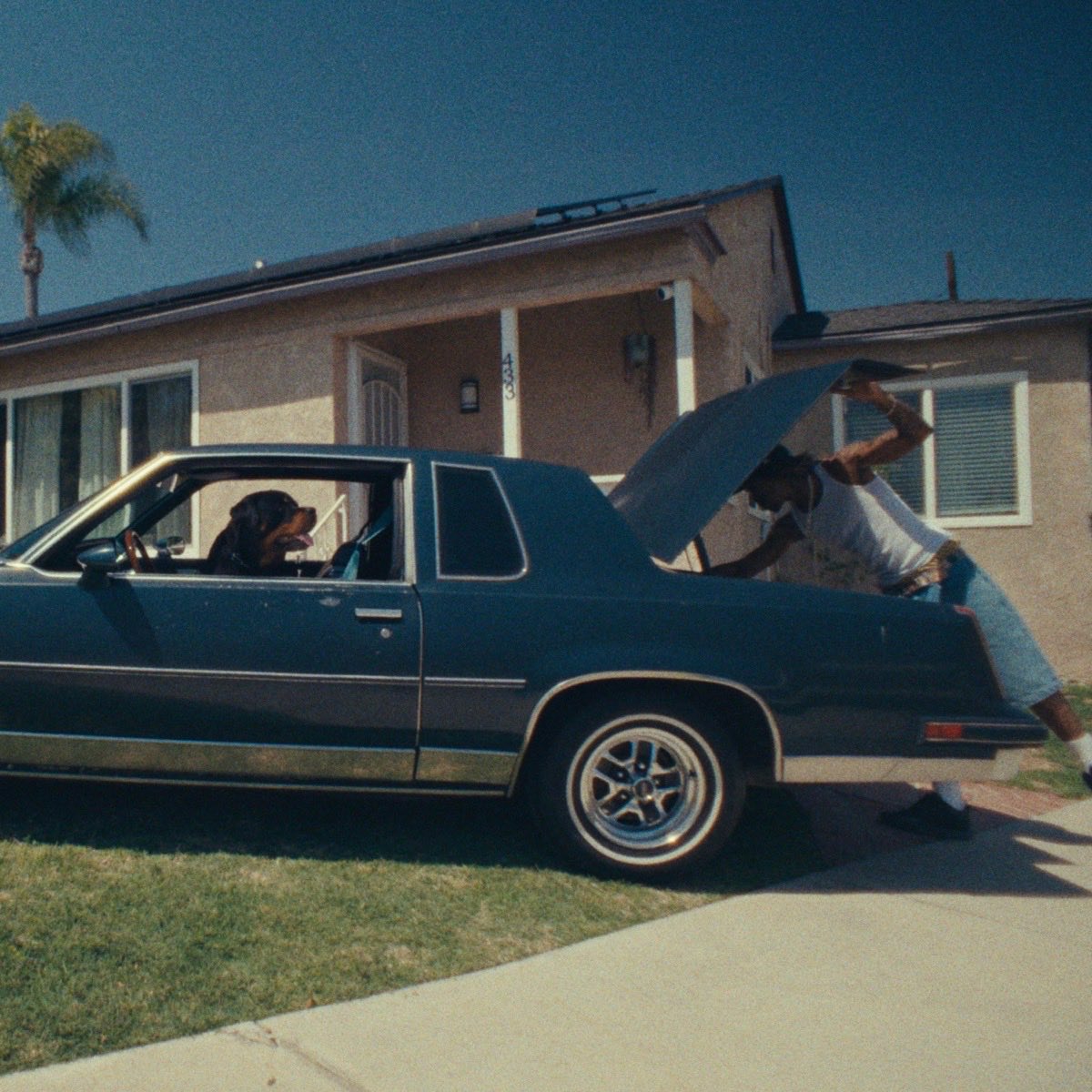 ▶️ Now Playing: 
💿Dogs in the Front Yard
👤Seafood Sam
⭐️⭐️⭐️⭐️