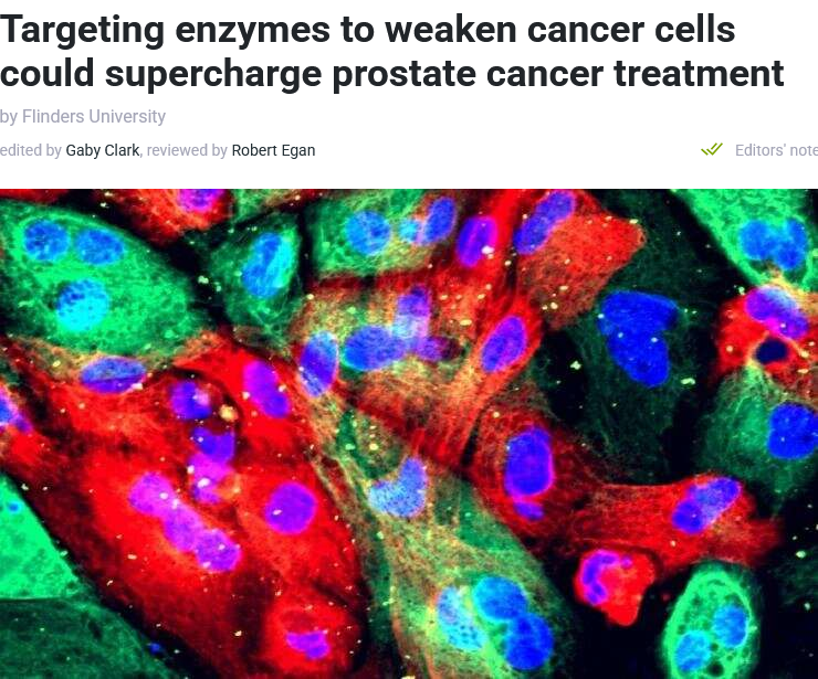 Dr Singularity tweet media